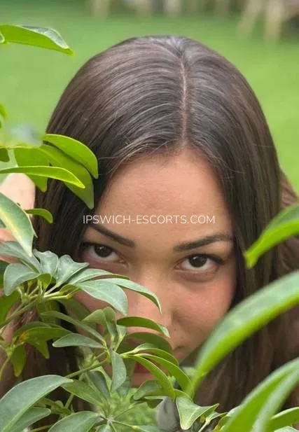 Ipswich escorts Dakota — 1