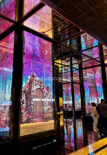 Ipswich escorts Maj — 4